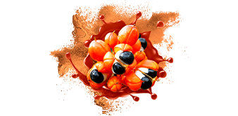 Guarana